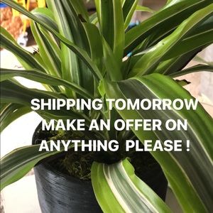 MAKE AN OFFER ON ANYTHING